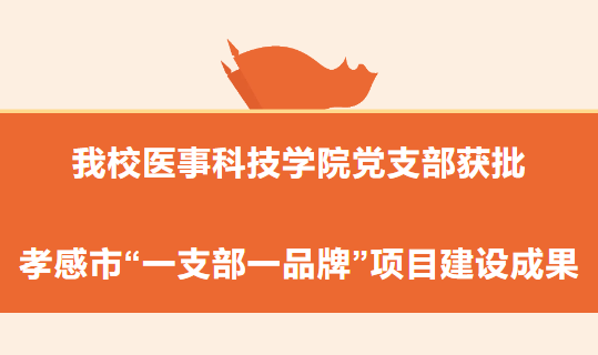 我校医事科技学院党支部获批孝感市&ldquo;一支部一品牌&rdquo;项目建设成果