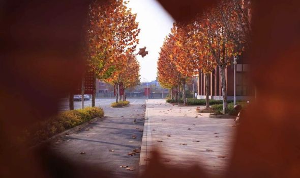 枫染珈园，艺韵定格|这场比赛结果揭晓&hellip;&hellip;