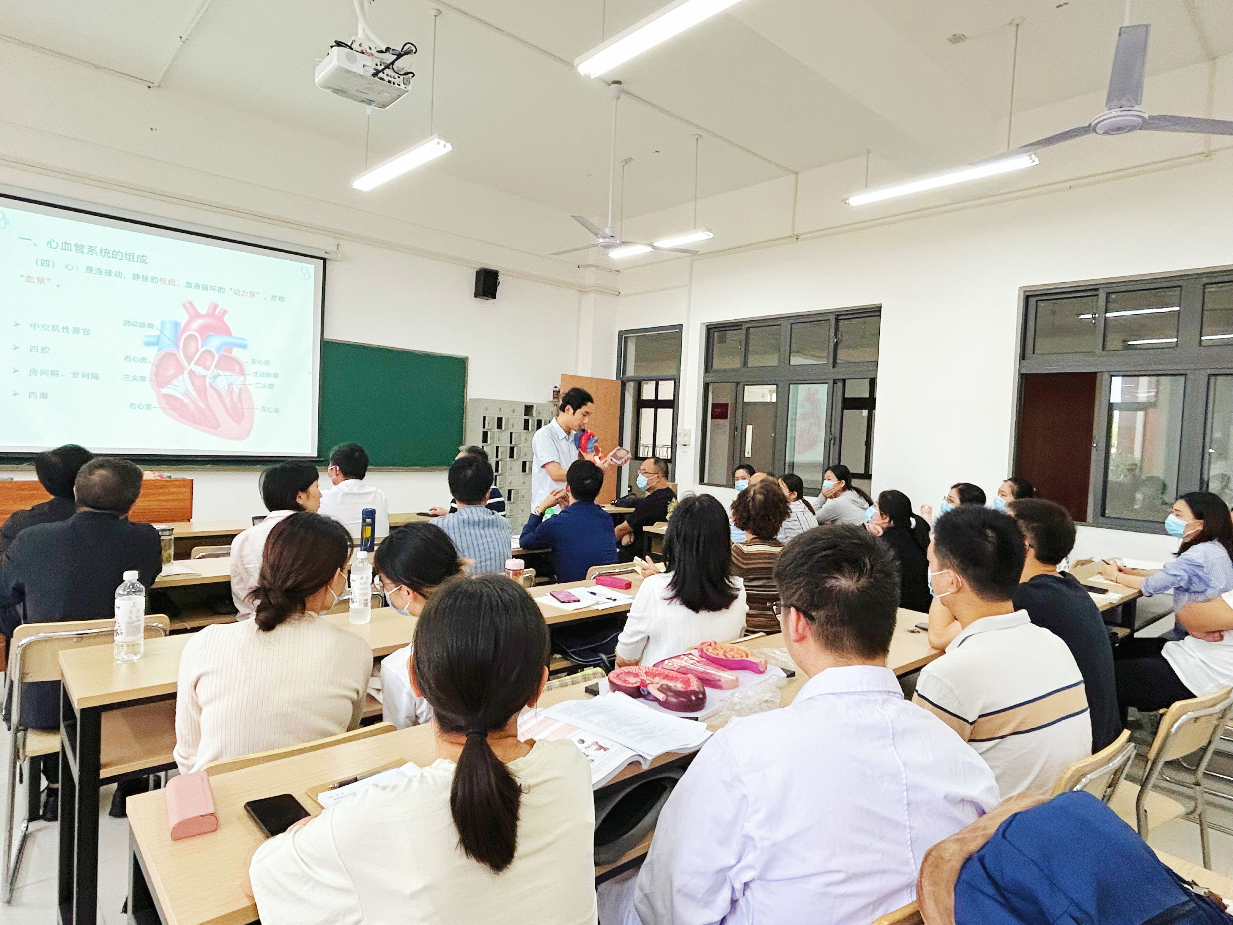 多元化教学内容和方法、创新的教学思维 | 我校新进教师课堂教学能力过关考核圆满收官（三）