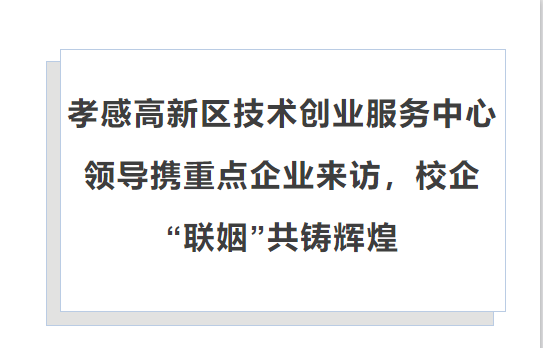 孝感高新区技术创业服务中心领导携重点企业来访，校企&ldquo;联姻&rdquo;共铸辉煌